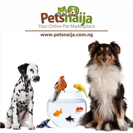 Online Shopping platform for Dog Lovers Opens Petsnaija